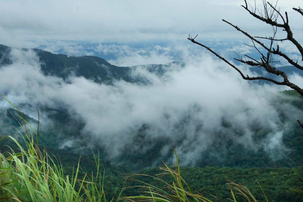 Misty Mountain Experience By Perfect Stays Pīrmed Exterior foto